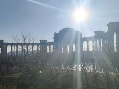 -南开大学滨海学院