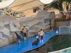 -泉州海丝野生动物世界