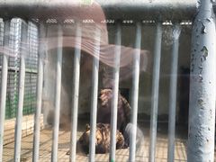 -祥源·阜阳生态乐园