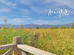 -野鸭湖国家湿地公园