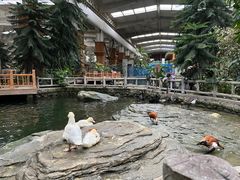 -南宫五洲植物乐园