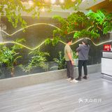 尝鲜 美味佳肴探店