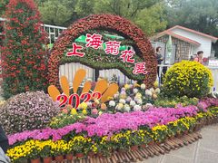 -上海共青森林公园