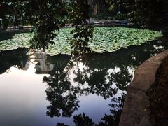 -荔枝公园(福田区)