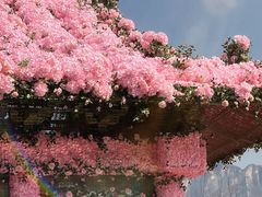 -河南宝泉旅游区