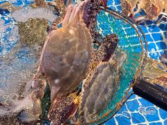 -驻海渔市(置信店)