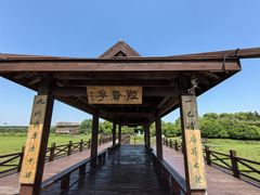 -荷塘月色湿地公园·向阳花洲