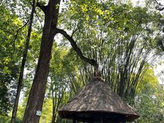 -成都杜甫草堂博物馆