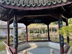 -上海醉白池公园