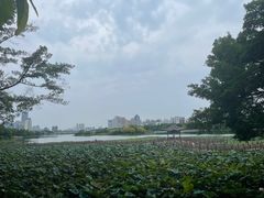 -南宁南湖公园