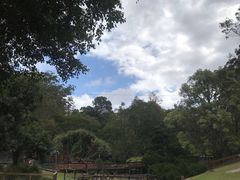 -可伦宾野生动物保护区