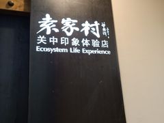 -袁家村关中印象体验地(东方亿象城店)