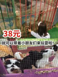-萌宠亲子动物乐园(槐房万达店)