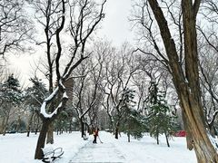 -玲珑塔公园