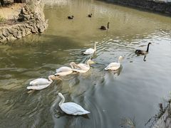 -黔灵山公园