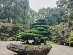 -南山植物园