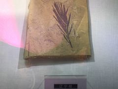 -房山世界地质公园博物馆