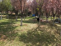 -洨河生态公园