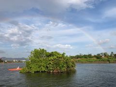 -芒洲湿地公园
