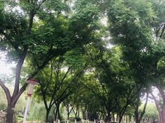-山东理工大学