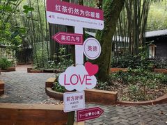 -英西峰林·洞天仙境