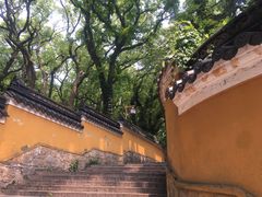 -普陀山风景名胜区-法雨禅寺