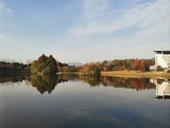 -浙江农林大学(东湖校区)