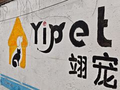 -翊宠yipet猫狗购宠庄园犬舍•猫舍