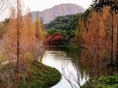 -田野绿世界