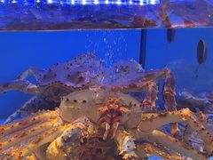 -阿伟海鲜楼·福建菜(延寿店)