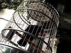 iphone_upload_pic-留荫庐旅馆