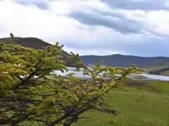 -普达措国家公园