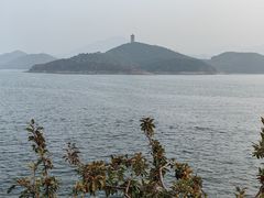 -望湖烤鱼