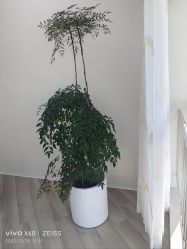 -HEYAN荷妍专业脱毛连锁机构