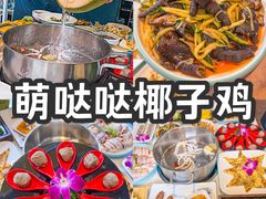 -亚龙湾热带天堂森林公园