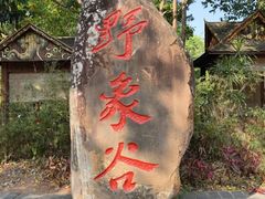 -野象谷景区