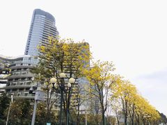 -洲头咀公园