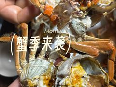 -白洋淀景区