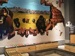 -三牦记·很牛的牦牛肉(柏条河北路下段店)