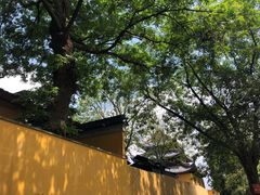 -灵岩山风景区