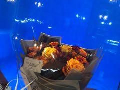 -植物学家的女儿(北马道巷店)