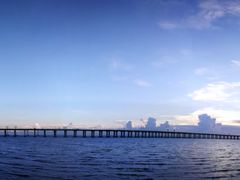 -宝安西湾红树林湿地公园