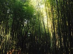 -竹泉村旅游度假区