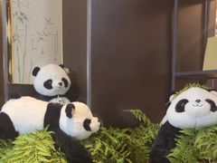 -茶去咖啡屋(武侯祠店)