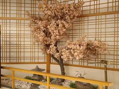 -汤泉良子.足疗按摩.SPA(中关村店)