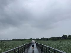 -太湖湖滨国家湿地公园-停车场