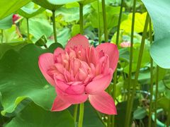 -龙环葡韵住宅式博物馆