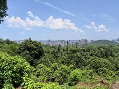 -潜山国家森林公园