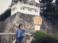 -名古屋城