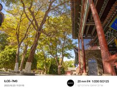 -张掖大佛寺景区